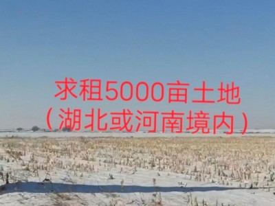 求租湖北河南境内5000亩土地种高粱，电话联系