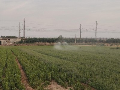 保定周边吊运打药撒肥随叫随到